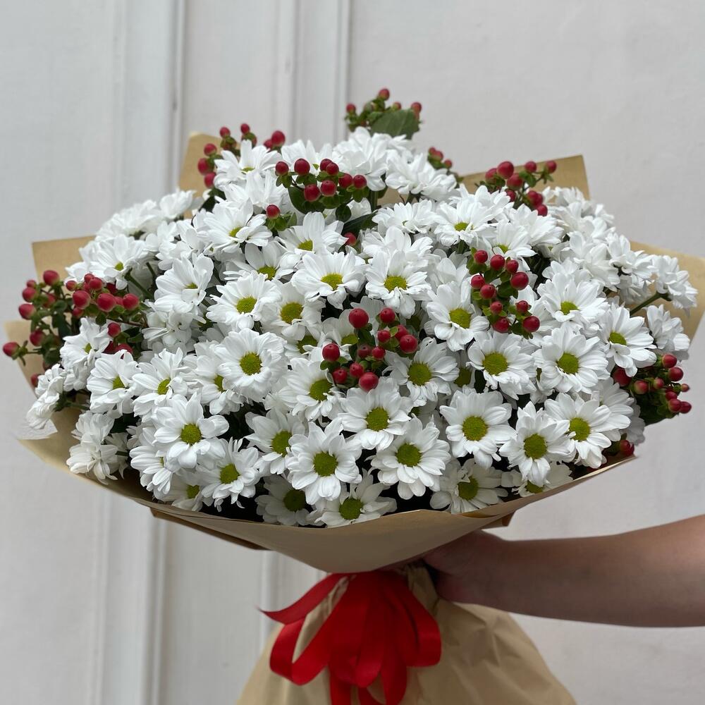 Хризантема